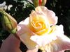 20130515_170658.jpg