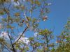 20130515_170439.jpg