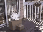 6A5E3002-E10E-496B-A894-61B8EB84853B.gif