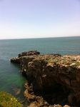 IMG_0781.JPG