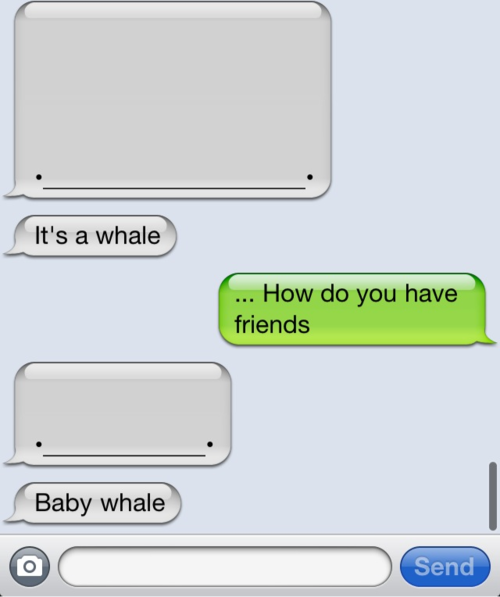 its-a-whale.png