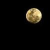 moonlight.jpg
