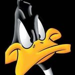 Perfil (shelltox)