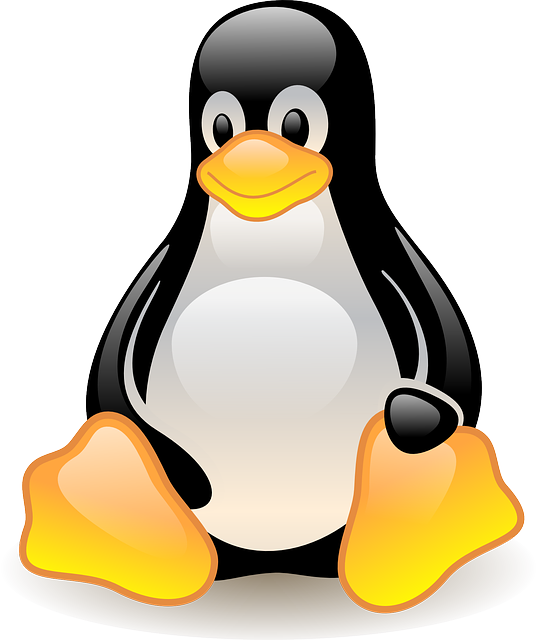 penguin-42936_640.png