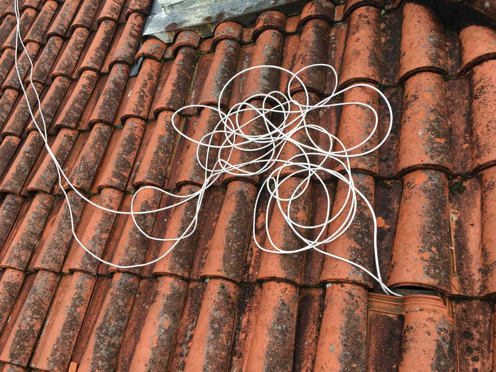 IMG_1943.jpg IMG_1943.jpg