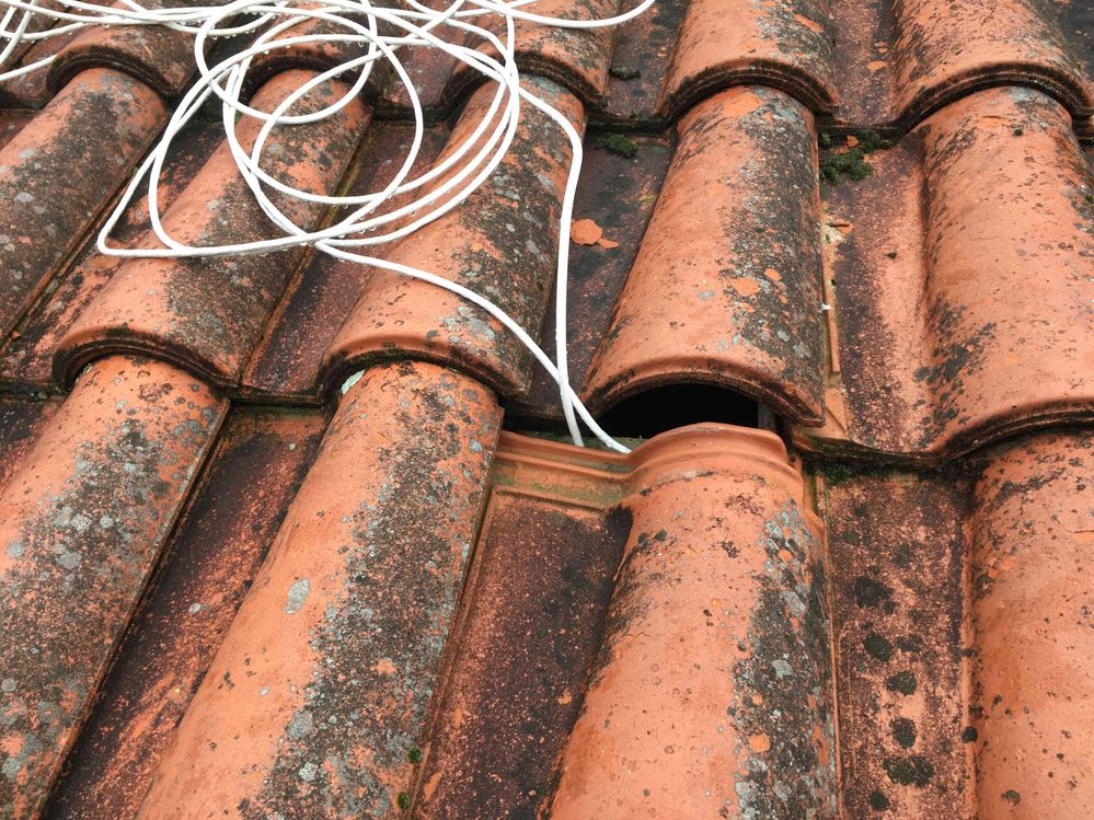 IMG_1941.jpg IMG_1941.jpg