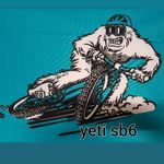 Yeti