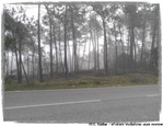 foto3.jpg