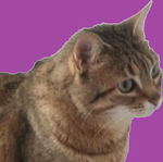inespurple.png