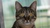 DSC_0009-2.jpg