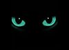 _catseyes.jpg
