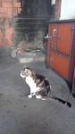 IMG-20190608-WA0001.jpeg
