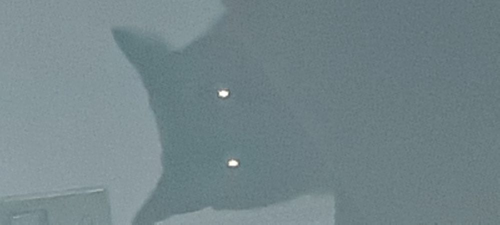 20230820_150226.jpg