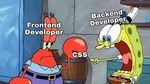 images.jpeg