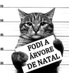 fodi a arvore de natal.jpg