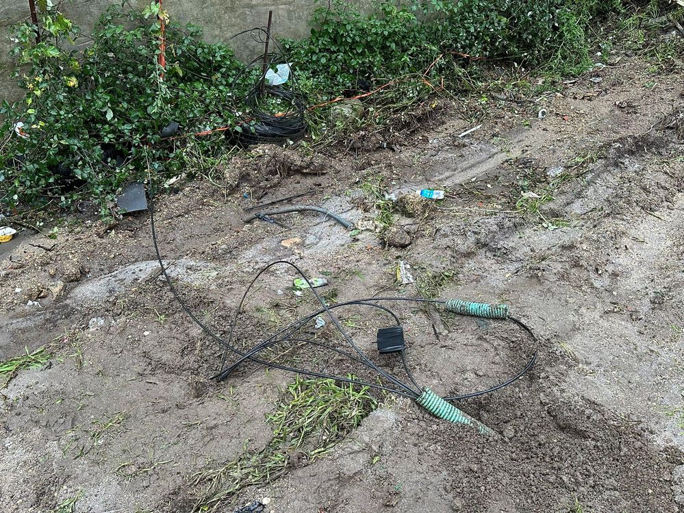 1702394776170.jpg 1702394776170.jpg