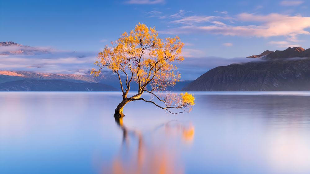 Lake-Wanaka-Landscape-Scenery-4K-Wallpaper.jpg