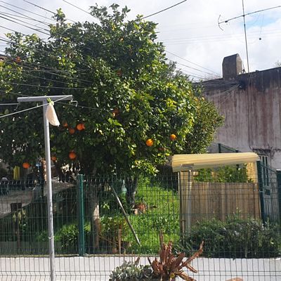 Rua da Portela Cabos_6.jpg