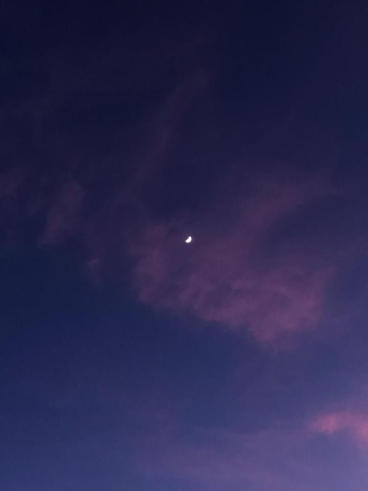 8E6C03D6-93D3-451A-A69C-4CD4B6AA93A9.jpeg