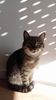 IMG-20240908-WA0010.jpg