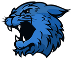 Perfil (Wildcatpt)