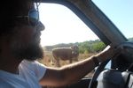 Perfil (Rui53)