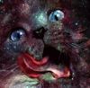 5af0be9eb4f3e76c56089fb13a0372ec--galaxy-cat-space-cat (2).jpg