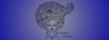 Design sem nome (2).png