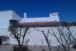 IMAG0049.jpg