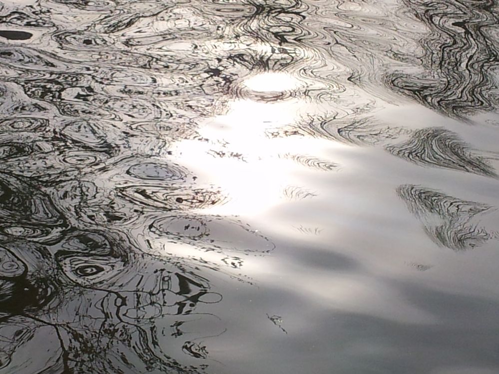 2012-02-19 17.22.52.jpg