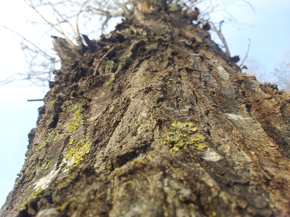 2012-02-21 17.13.38.jpg