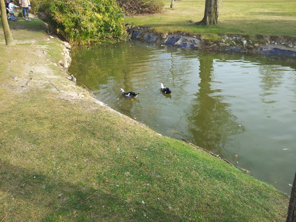 2012-02-21 16.16.27.jpg