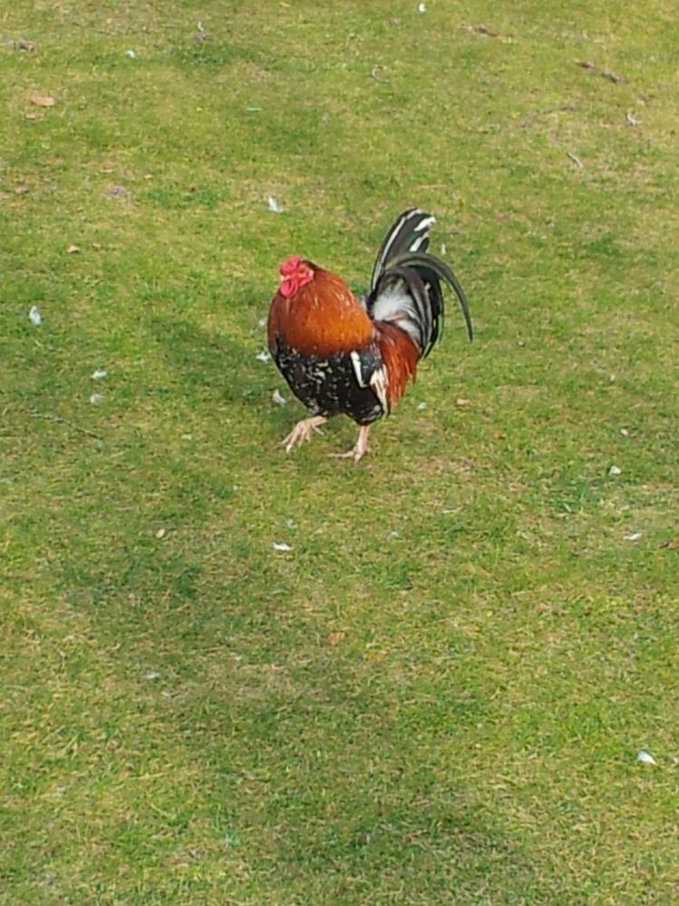 2012-02-21 16.30.29.jpg