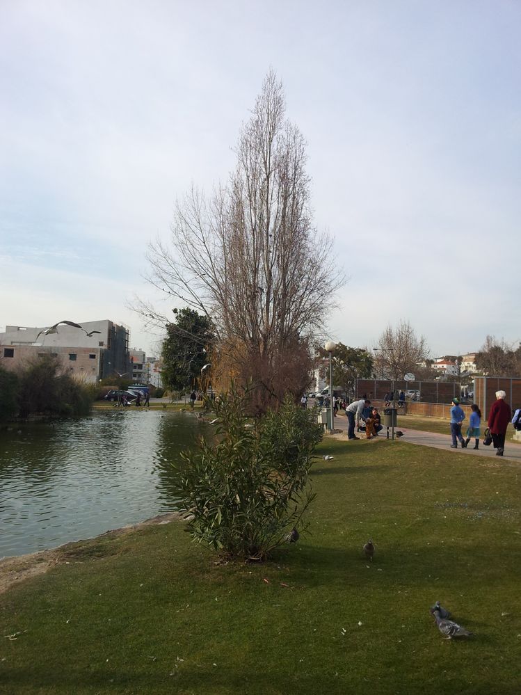 2012-02-21 16.26.49.jpg