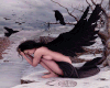 lonely-angels-black-crow-31000.gif