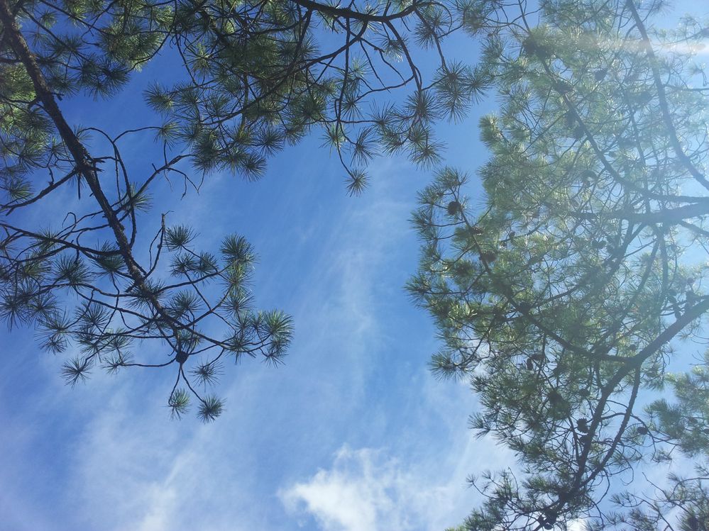 D - Galaxy S II  - eForum Vodafone User Review.jpg