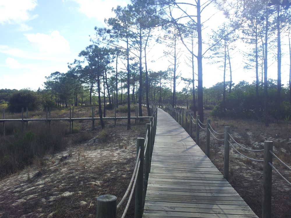 H - Galaxy S II  - eForum Vodafone User Review.jpg