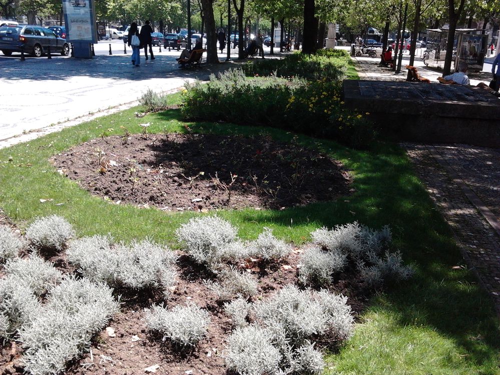 2012-04-26 14.46.20.jpg