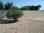 IMG_20120717_084648.jpg