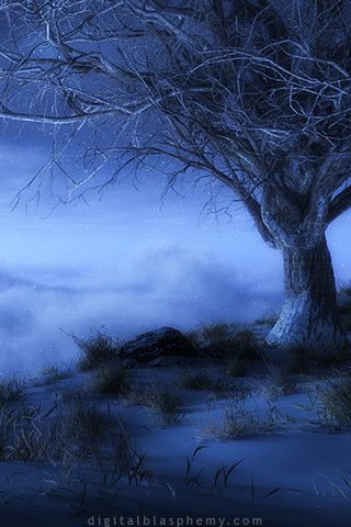 world sedge winter.jpg