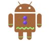 android-gingerbread.jpg
