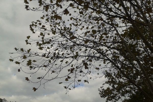 2012-10-31 14.58.41.jpg