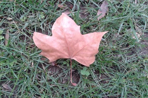 2012-10-31 15.00.30.jpg