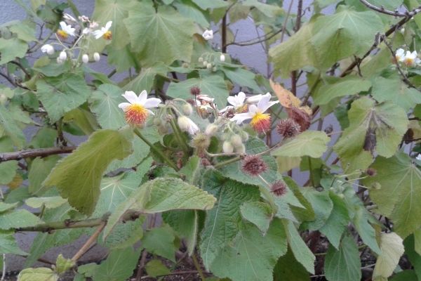 2012-10-31 14.58.48.jpg