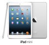 ipad_mini_pf_pb_ps_wht_ios6_print_2.jpg