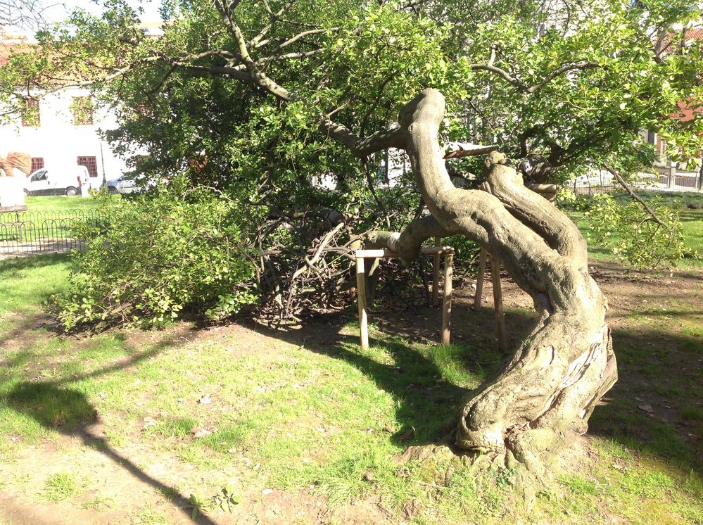 2013-01-29 12.55.57.jpg