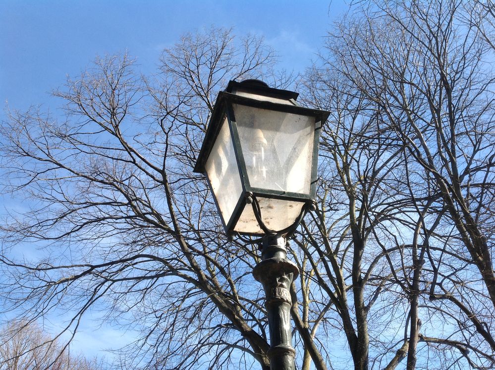 2013-01-29 12.56.04.jpg