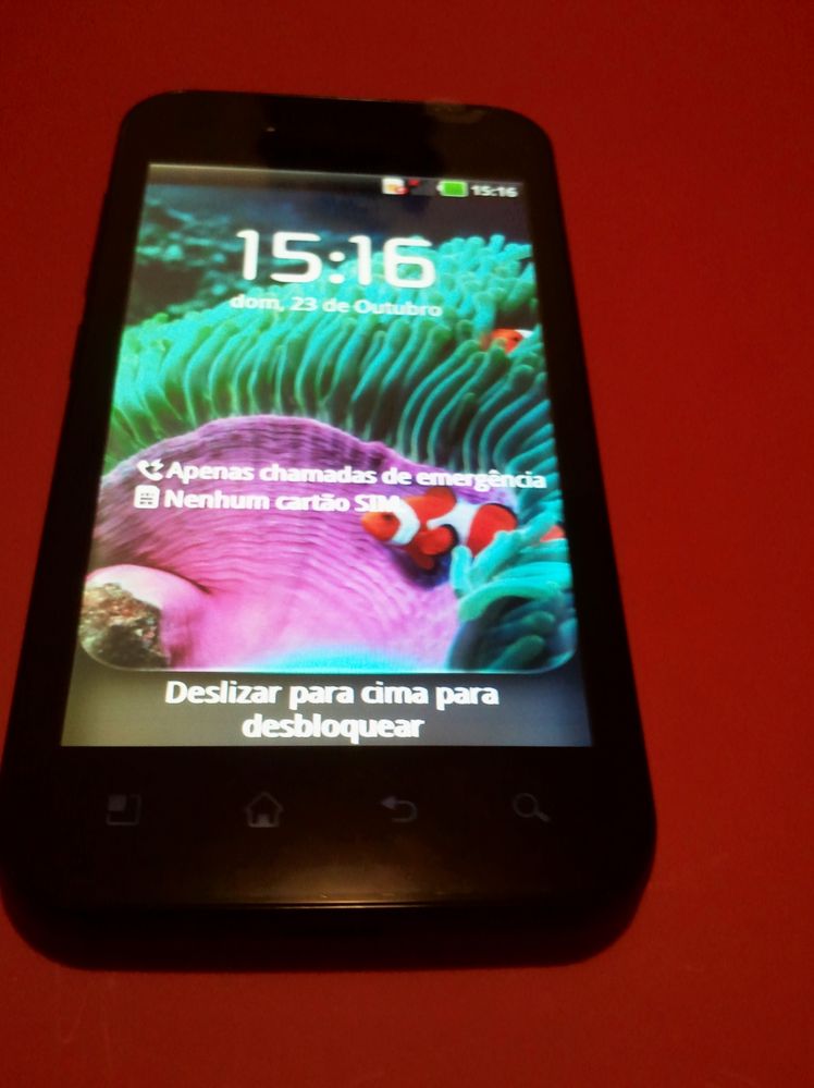 2011-10-23 15.07.09.jpg