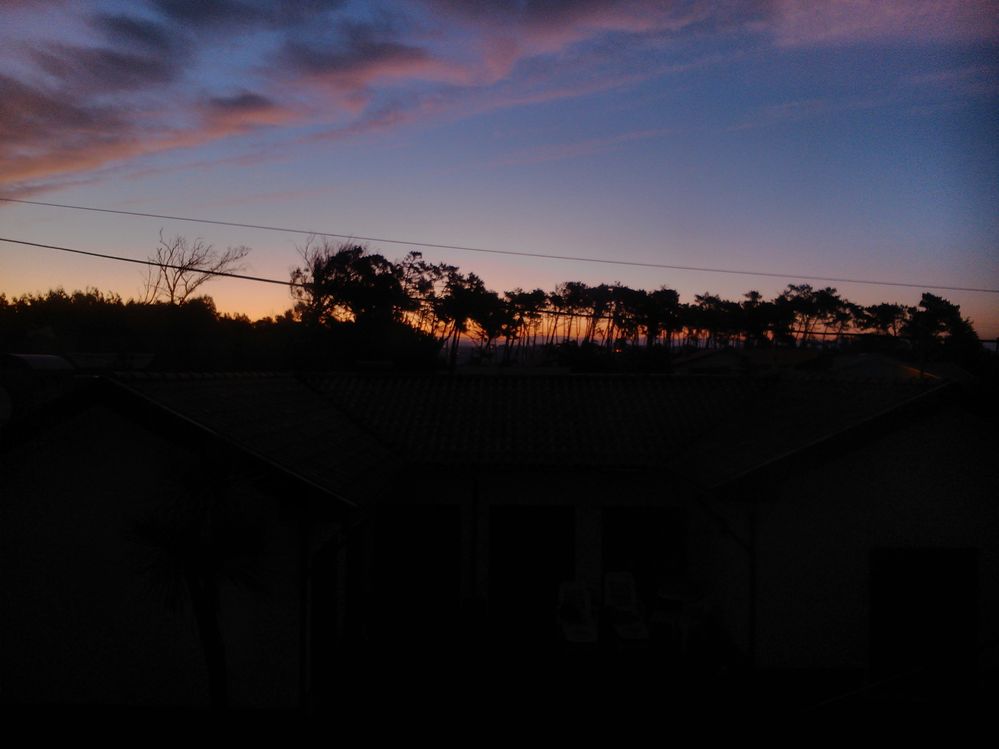 2013-07-26 05.54.17.jpg