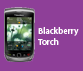 Blackberry-Torch.png